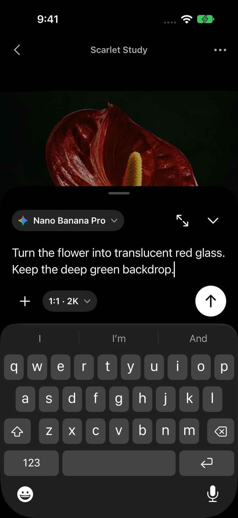 Rodora's Edit composer over a photo, with model and output controls