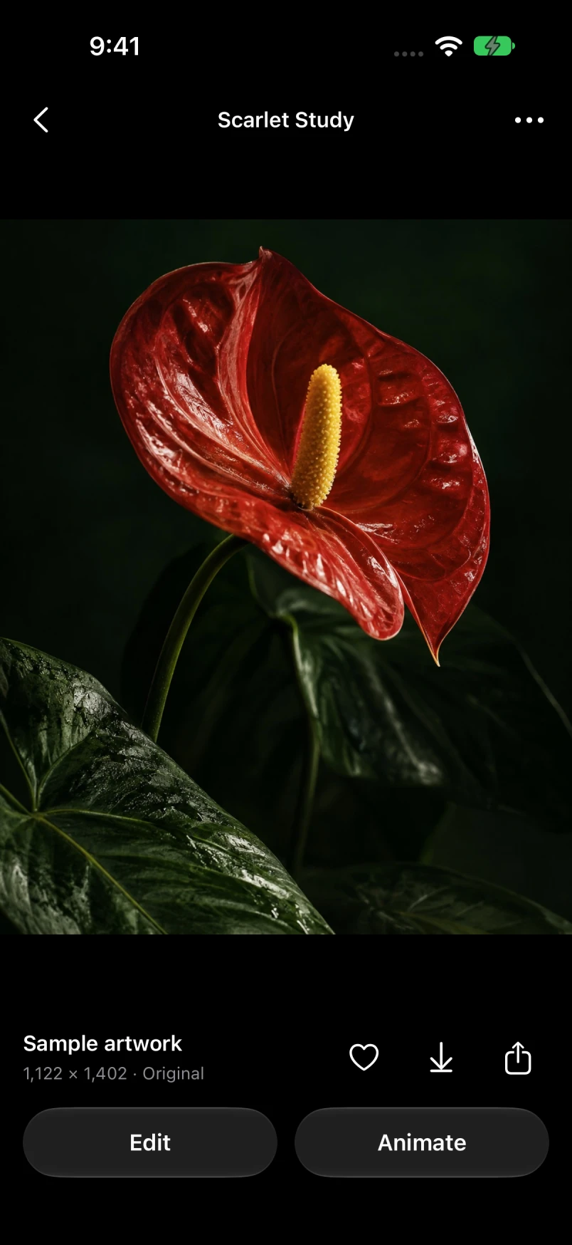 An image open in Rodora for iPhone with Edit, Animate, save and share actions